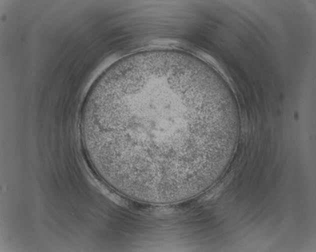 X0000078231235200612011532