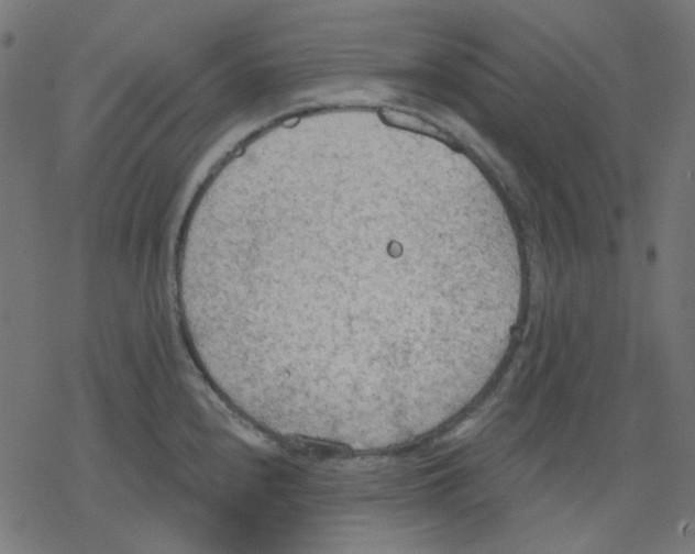 X0000078231240200612011532