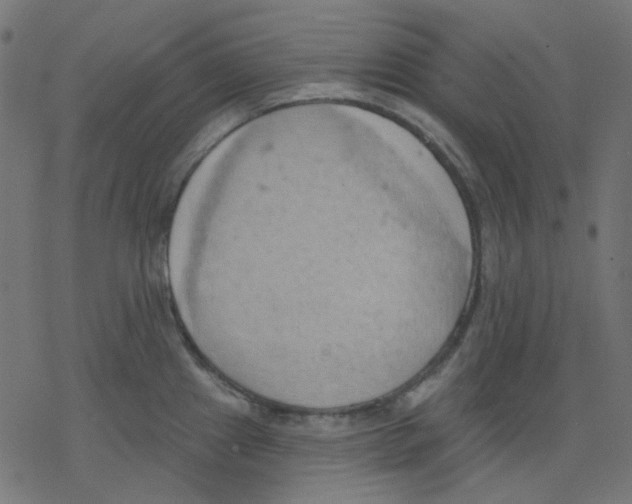 X0000078231241200612011532