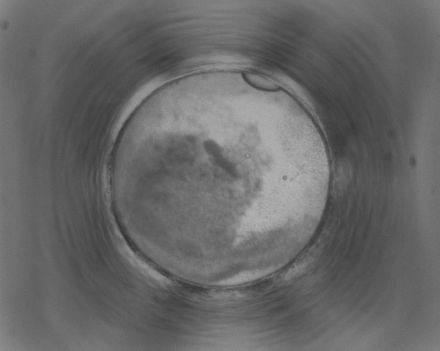 X0000078231243200612011532