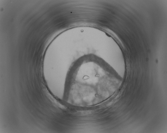 X0000078231244200612011532