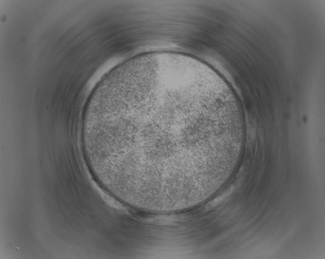 X0000078231245200612011532