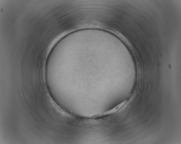 X0000078231246200612011532