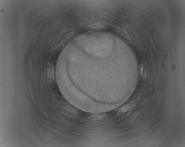 X0000078231251200612011531