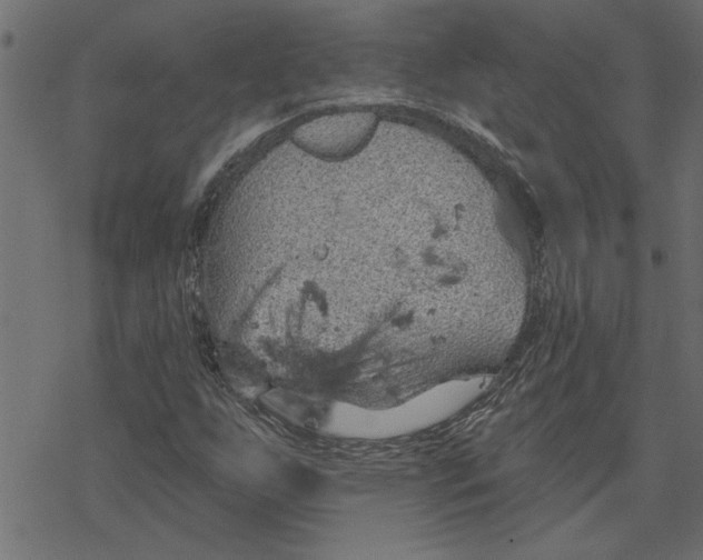 X0000078231255200612011531