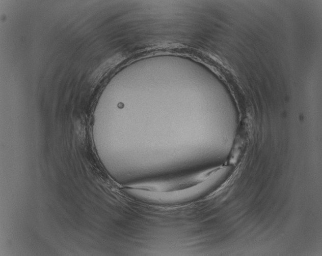 X0000078231257200612011531