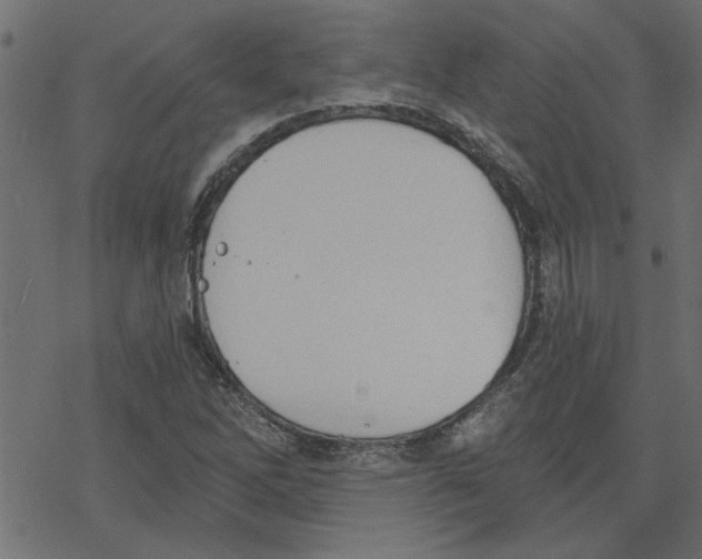 X0000078231262200612011531