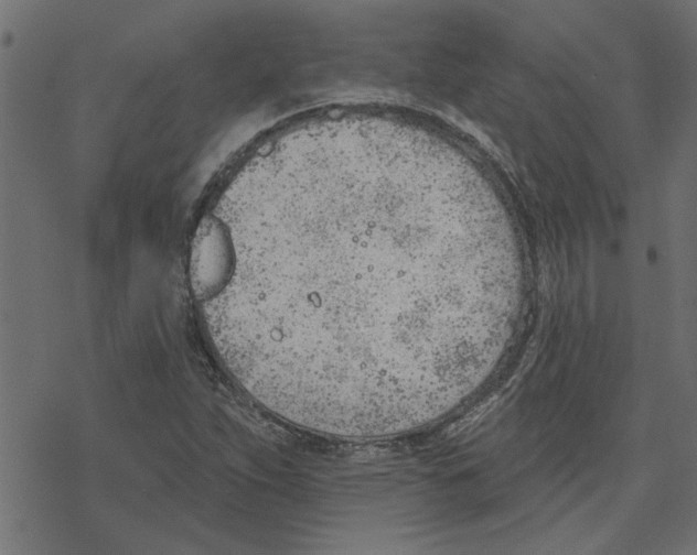 X0000078231263200612011531