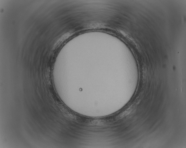 X0000078231265200612011531