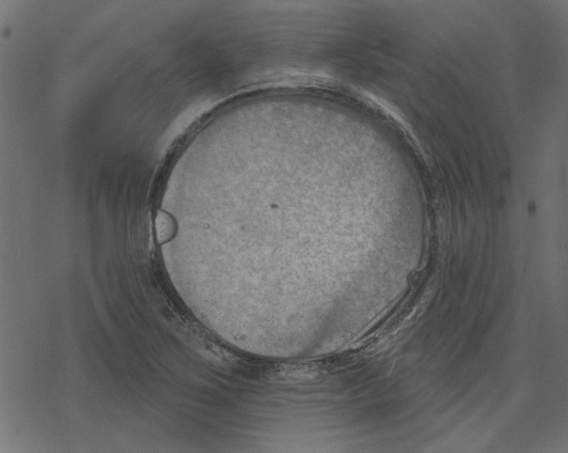 X0000078231267200612011531