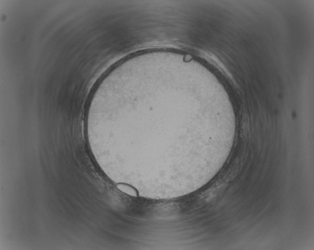 X0000078231268200612011531