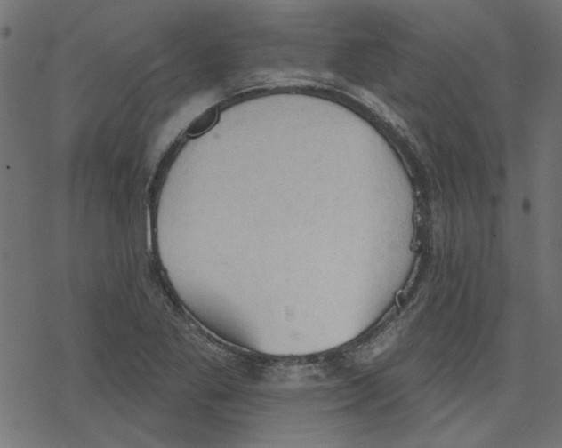 X0000078231269200612011531