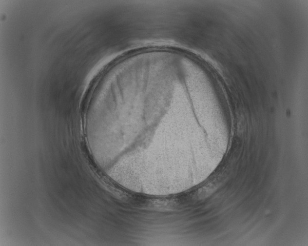 X0000078231271200612011531