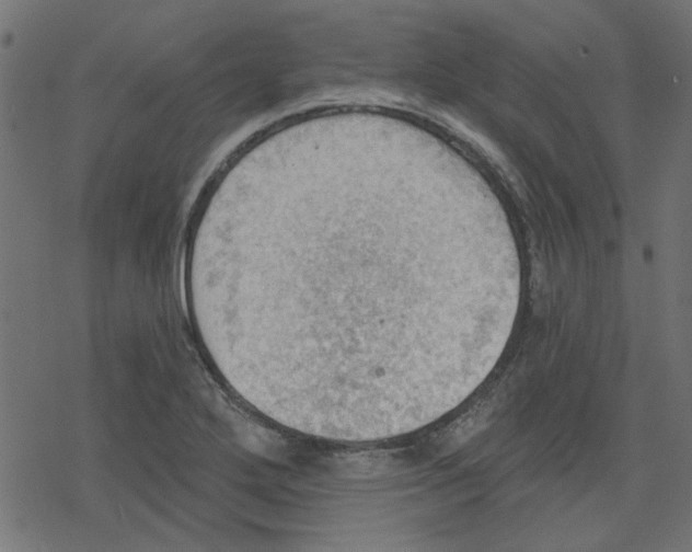 X0000078231272200612011531