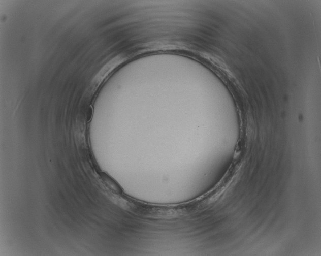 X0000078231273200612011531