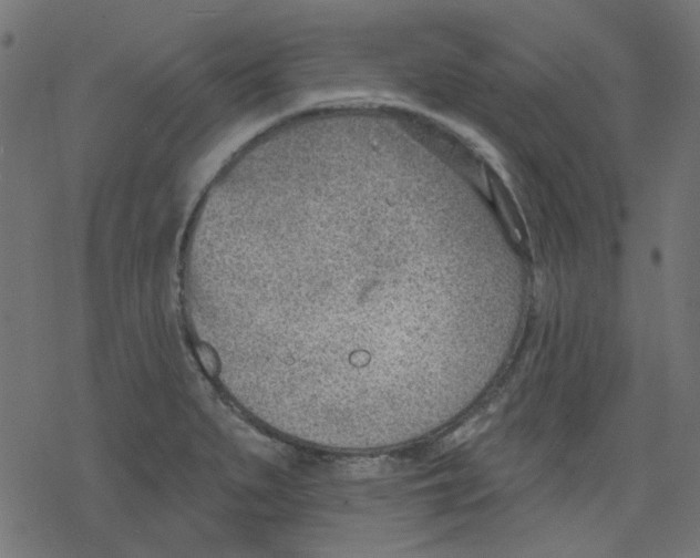 X0000078231279200612011531