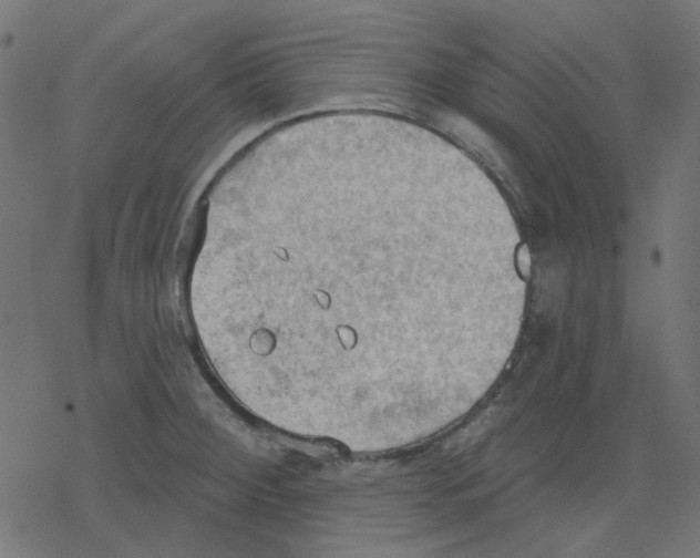 X0000078231284200612011530