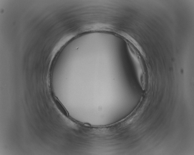 X0000078231285200612011530