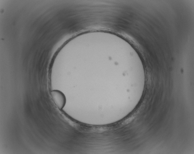 X0000078231286200612011530