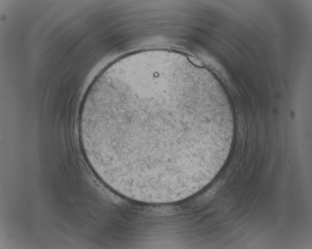 X0000078231288200612011530