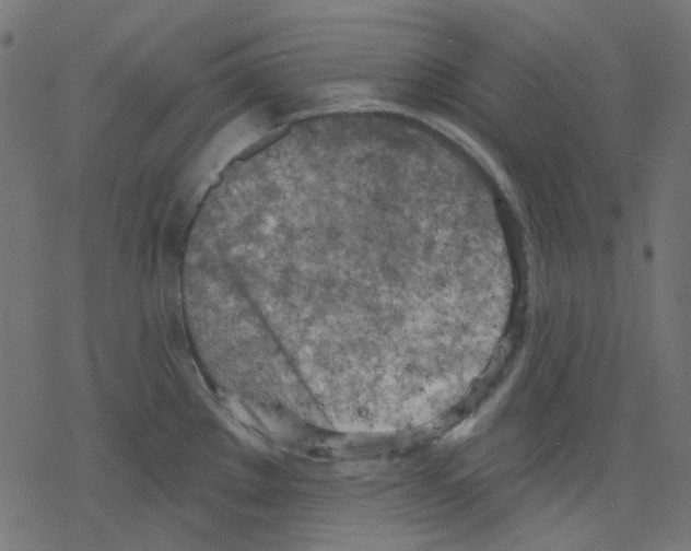 X0000078231289200612011530