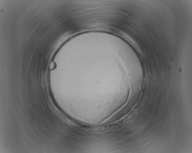 X0000078231291200612011530