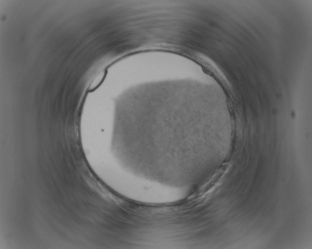 X0000078231292200612011530