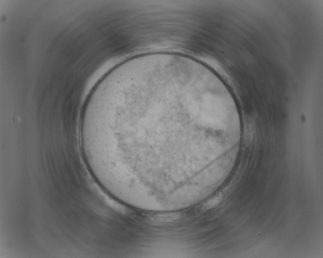 X0000078231294200612011530