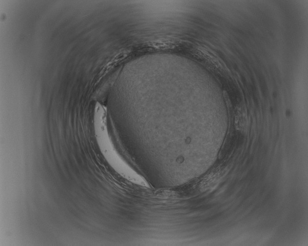 X0000078231298200612011530