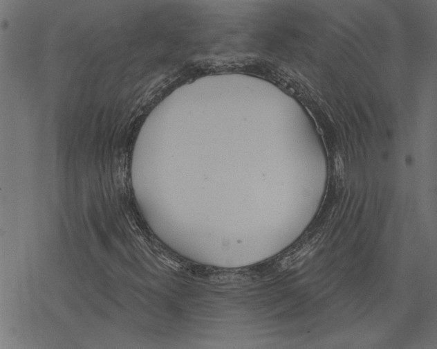 X0000078231300200612011530