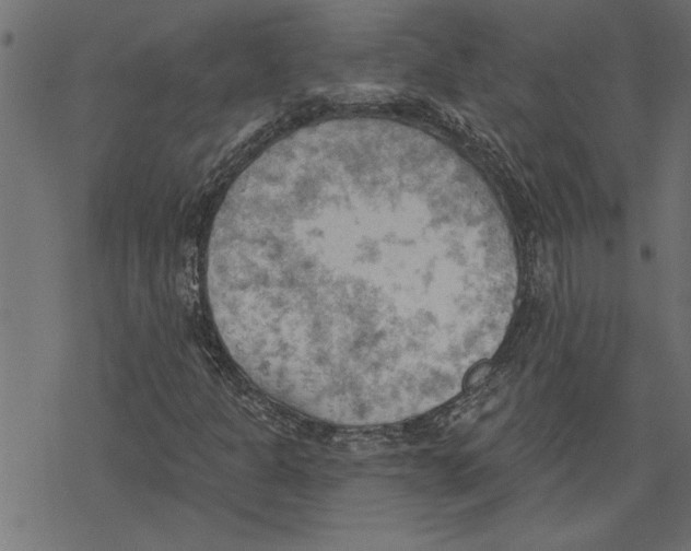 X0000078231301200612011530