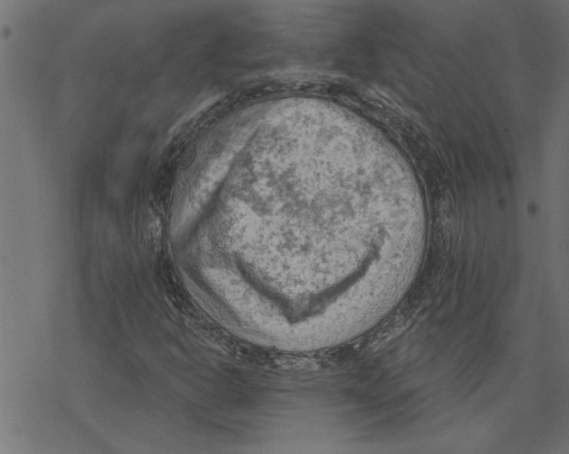 X0000078231302200612011530