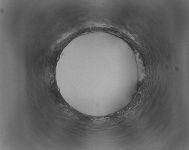 X0000078231303200612011530