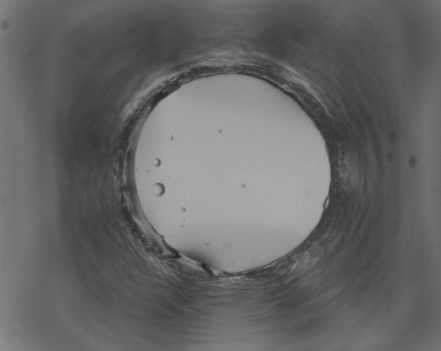 X0000078231304200612011530