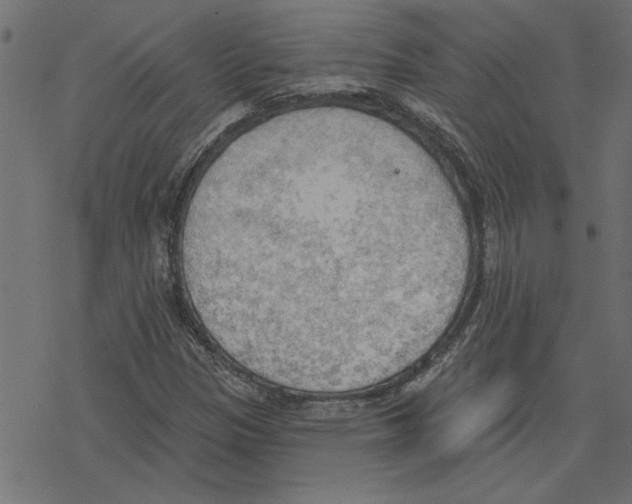 X0000078231305200612011530