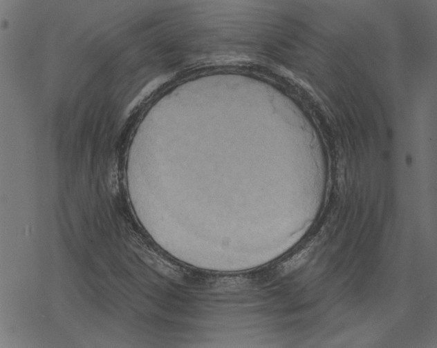 X0000078231306200612011530