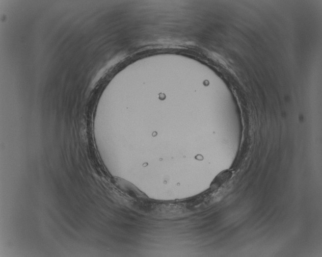 X0000078231307200612011530