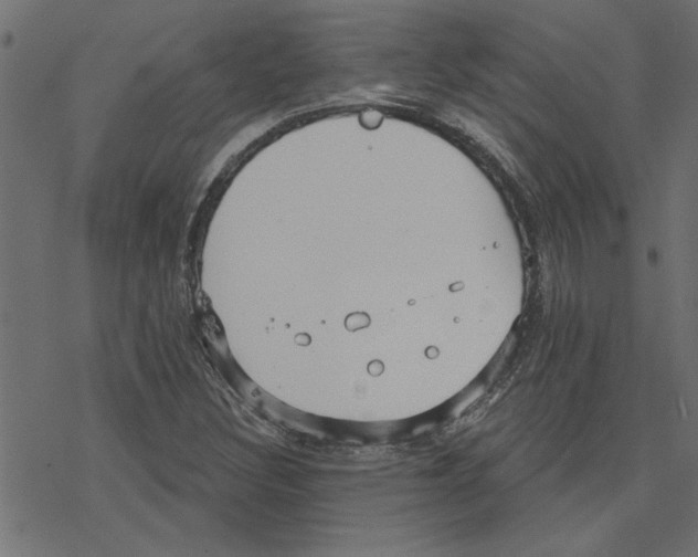 X0000078231308200612011530