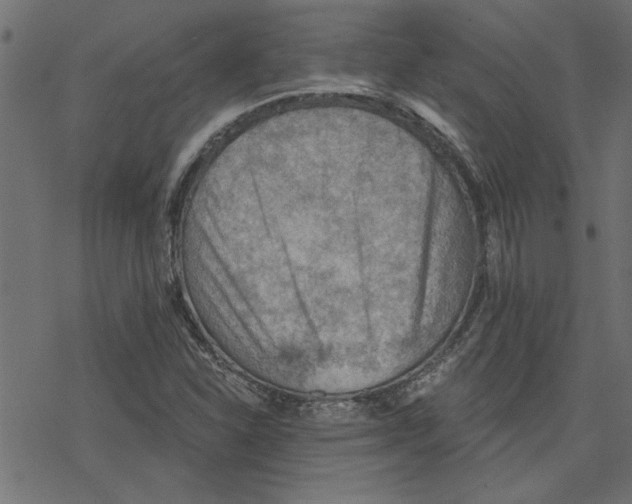 X0000078231310200612011530