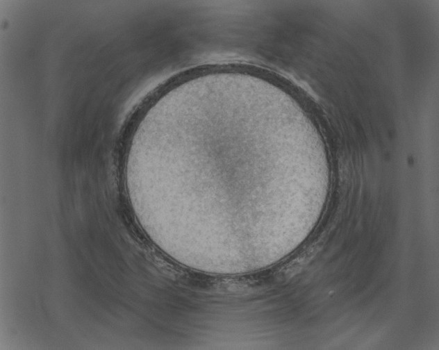 X0000078231311200612011530