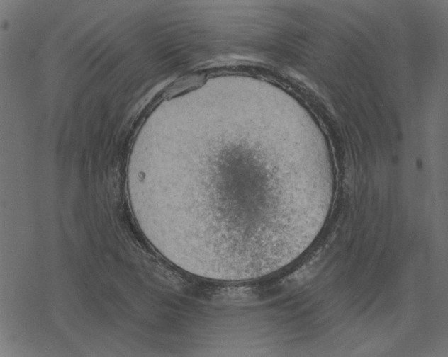 X0000078231313200612011530