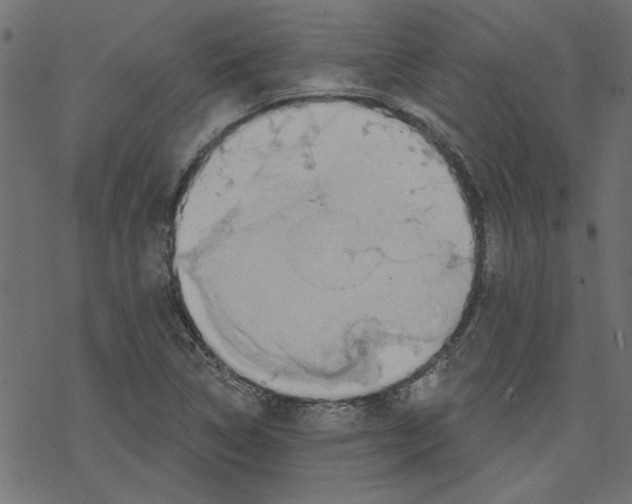 X0000078231314200612011530