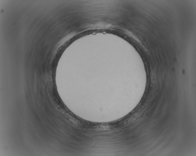 X0000078231315200612011530