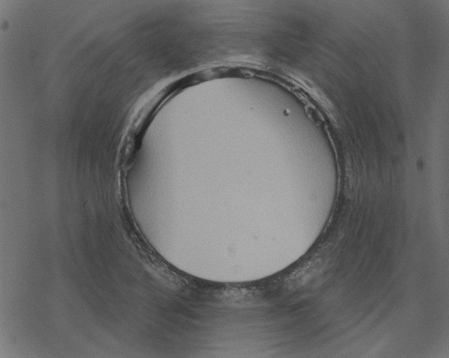 X0000078231316200612011530