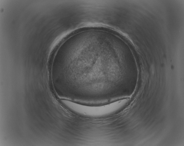 X0000078231319200612011530