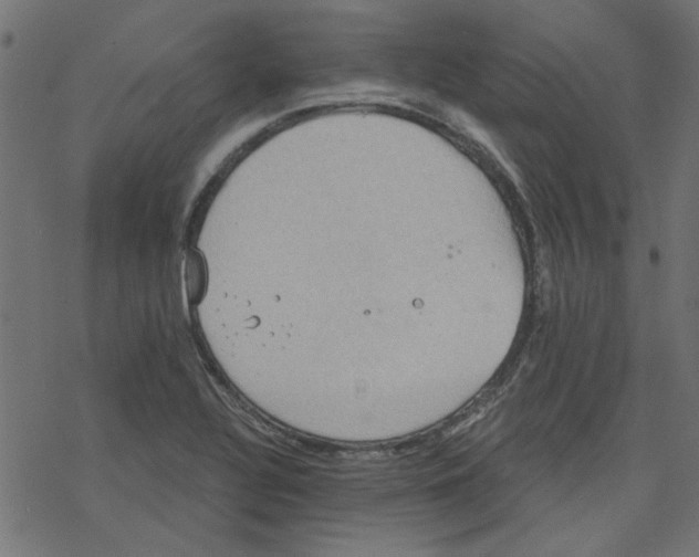 X0000078231320200612011530