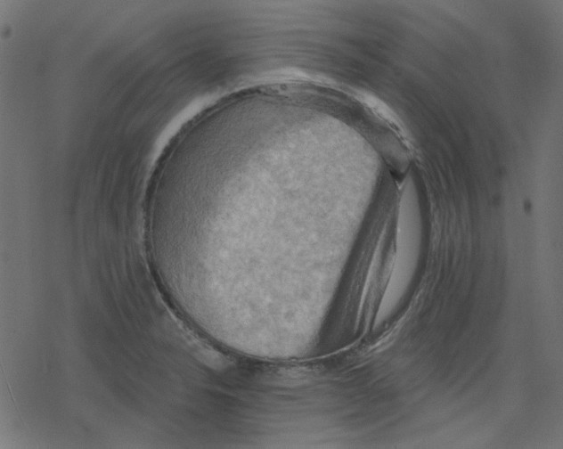 X0000078231326200612011530