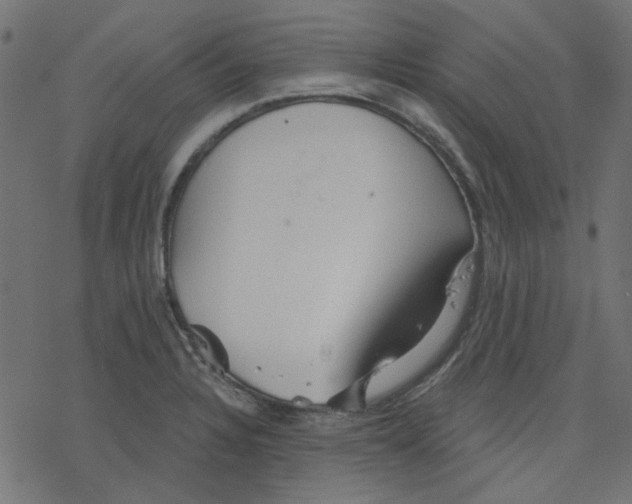 X0000078231328200612011530