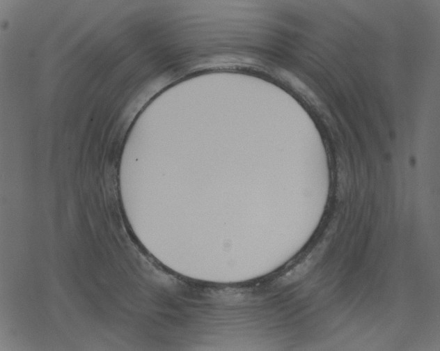 X0000078231329200612011530