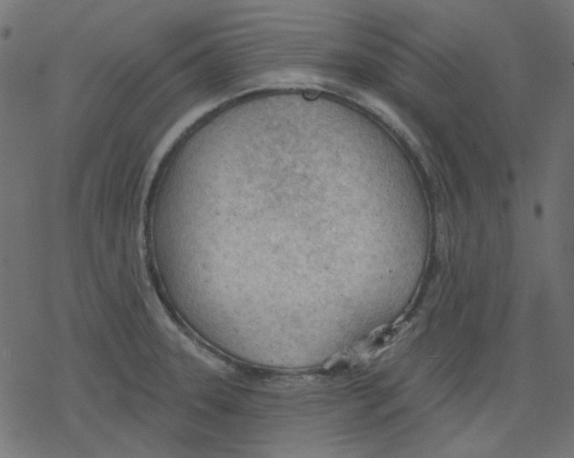 X0000078231331200612011530